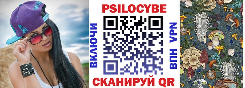 Псилоцибиновые грибы мицелий  нарко площадка наркотические препараты  Боготол  мега онион 